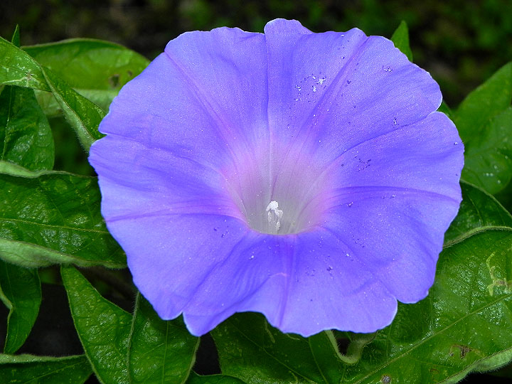 10-DSCN3360