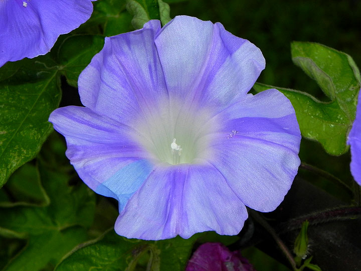 10-DSCN3362