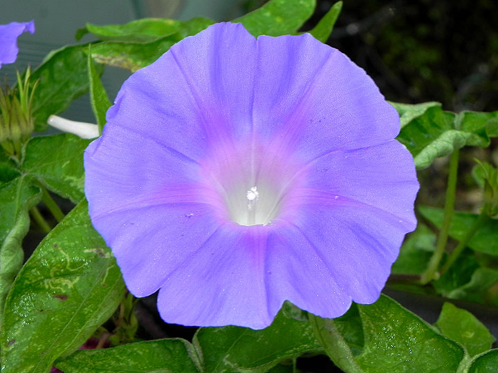 10-DSCN3641