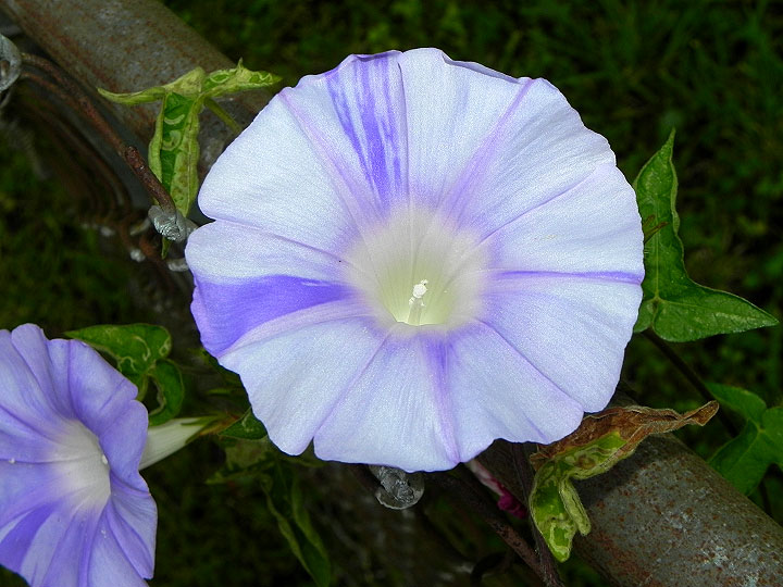 10-DSCN3966