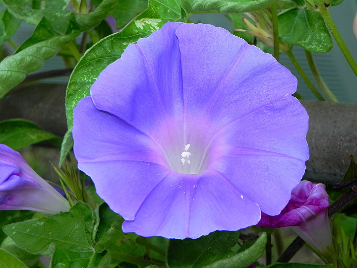 10-DSCN4273_01