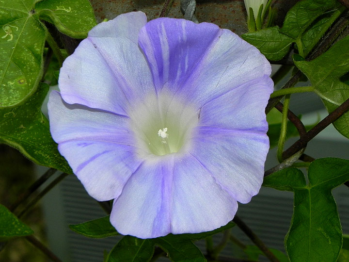 10-DSCN4274_01