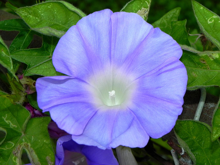 10-DSCN4276_01