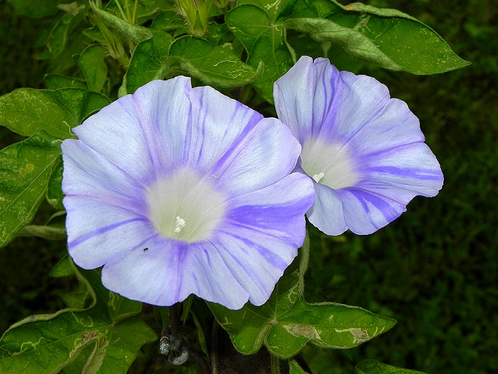 10-DSCN4896_01