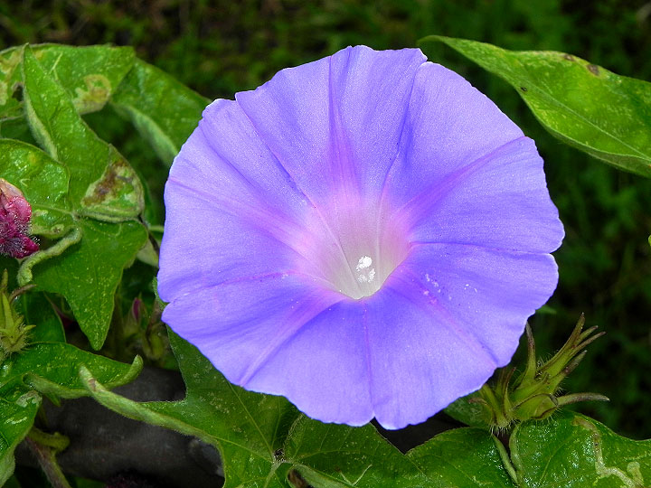 10-DSCN5201