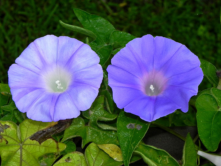 10-DSCN5204