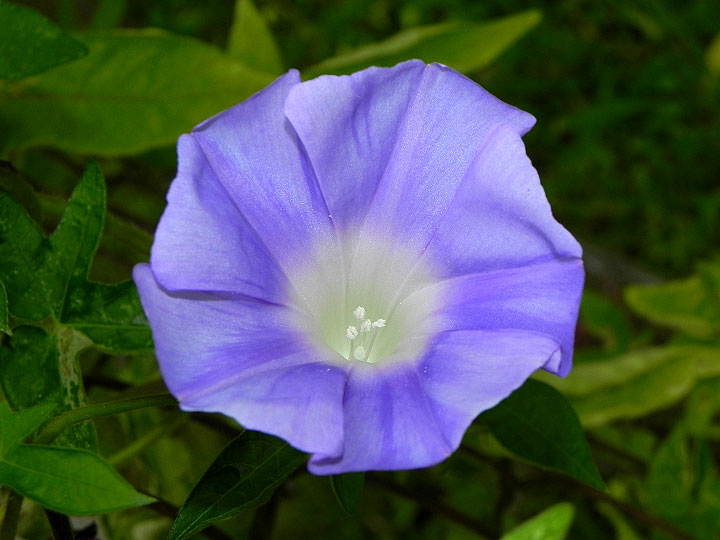 10-DSCN5476