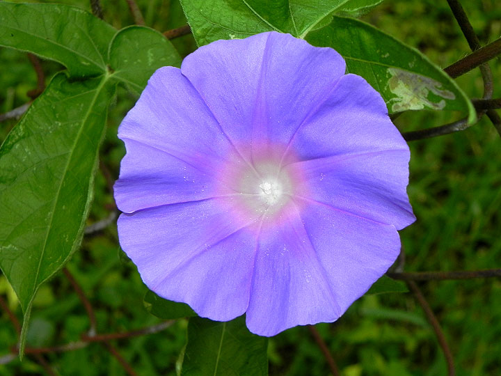 10-DSCN5721
