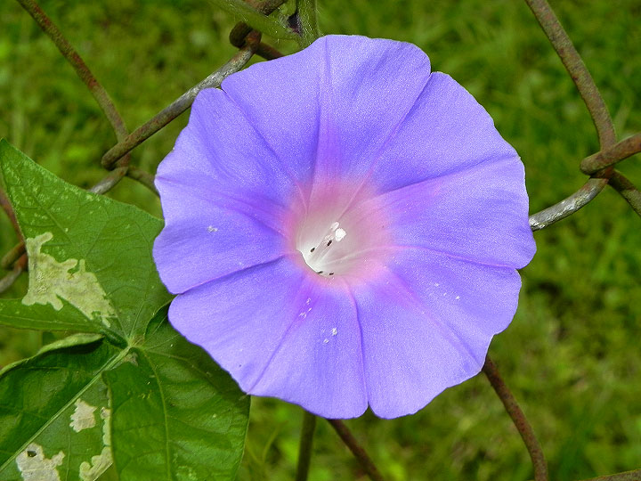10-DSCN6289
