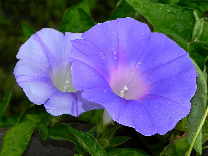 10-DSCN7017