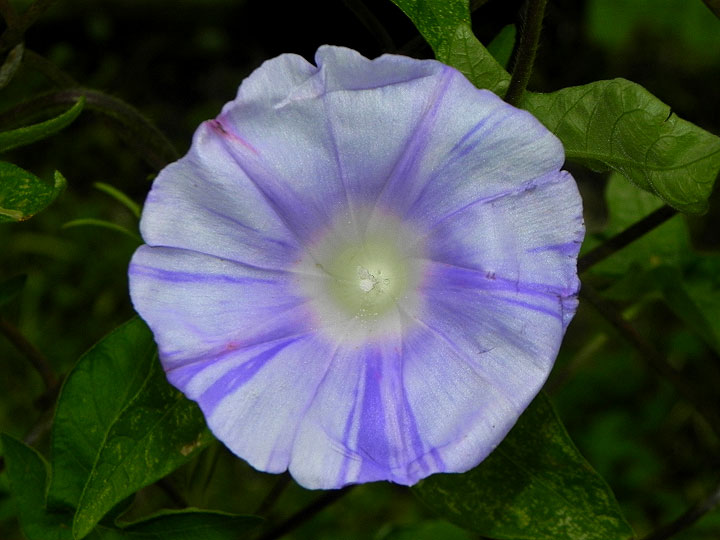 10-DSCN7806