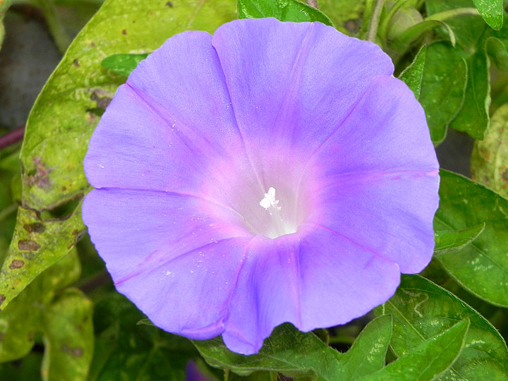 10-DSCN8207