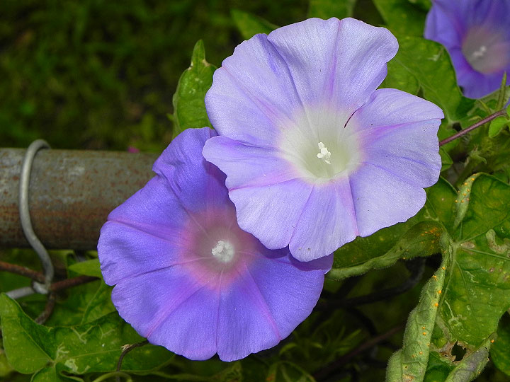 10-DSCN8777