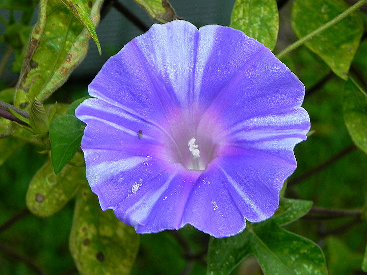 10-DSCN8952