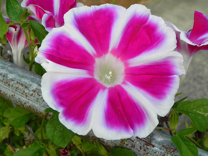 16-DSCN4154