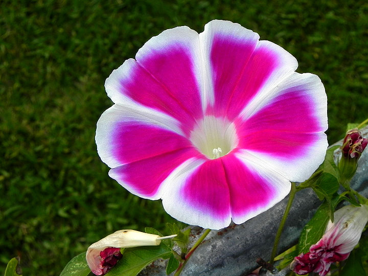 16-DSCN4445_01