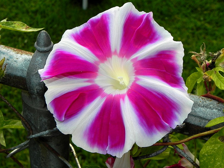 16-DSCN4448_01