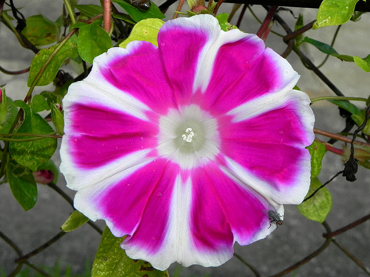 16-DSCN5085_01