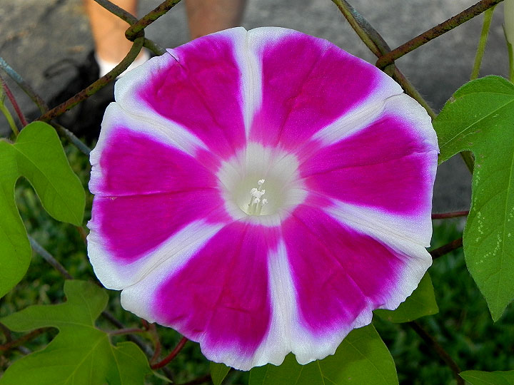 16-DSCN5984