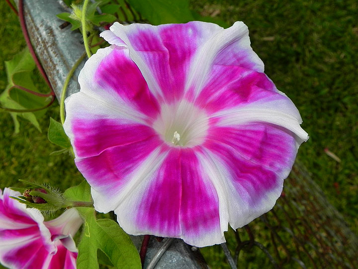 16-DSCN6138