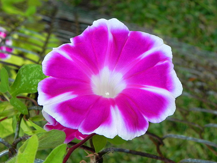 16-DSCN7351