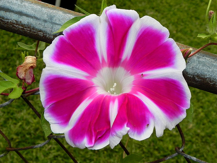 16-DSCN7487