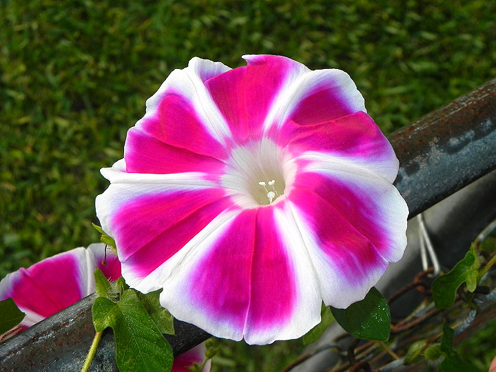 16-DSCN8586