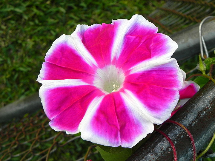 16-DSCN8587