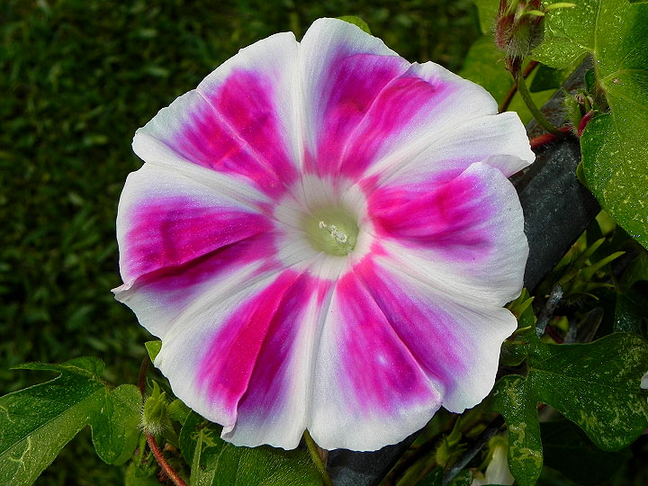 16-DSCN8588