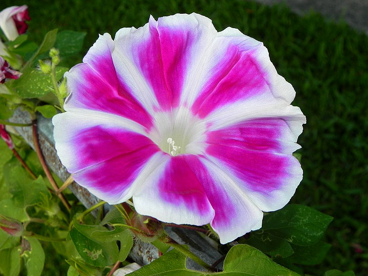 16-DSCN9165