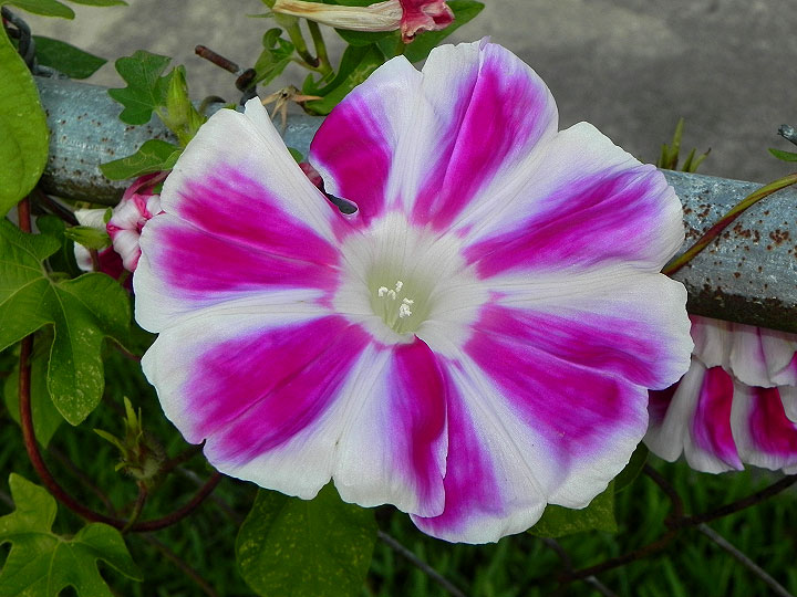16-DSCN9364