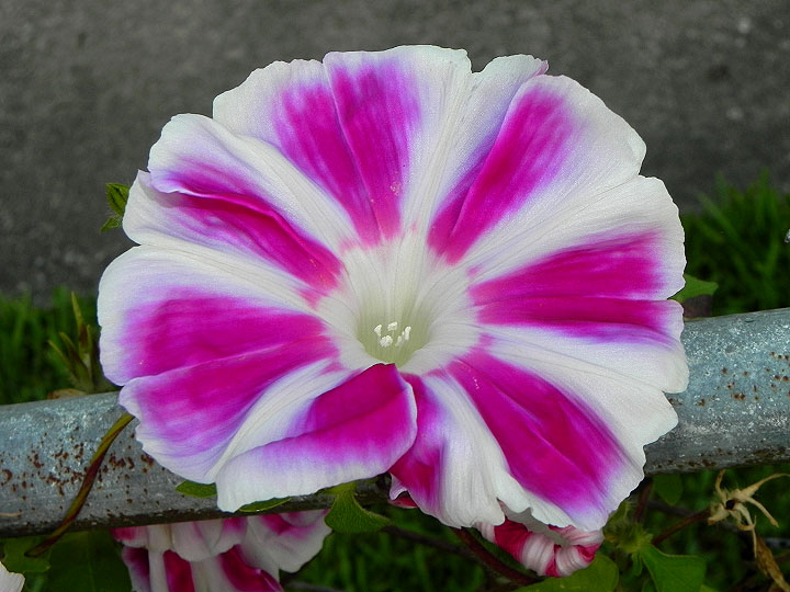 16-DSCN9365