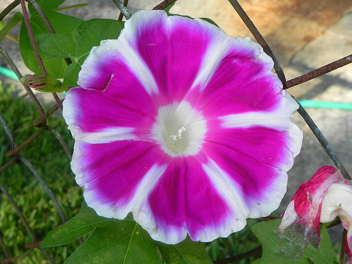 16-DSCN9429