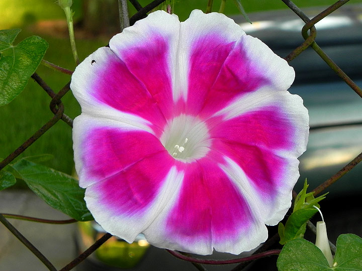 16-DSCN9567
