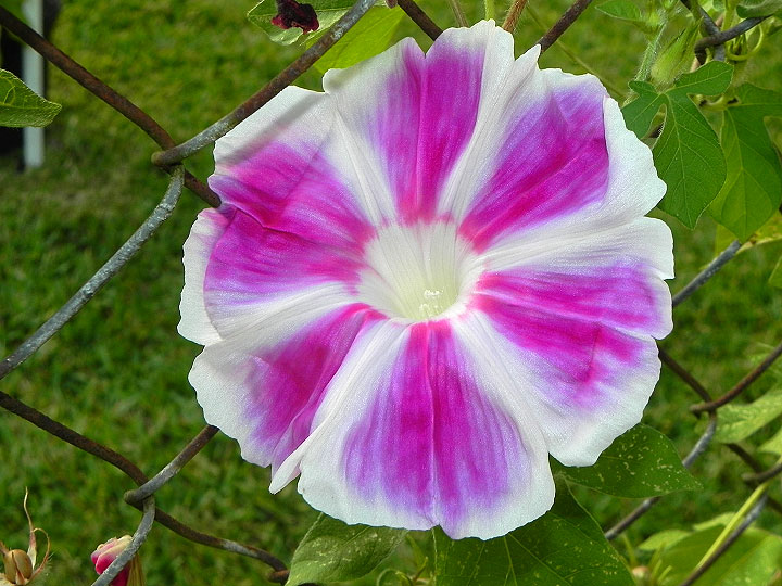 16-DSCN9620