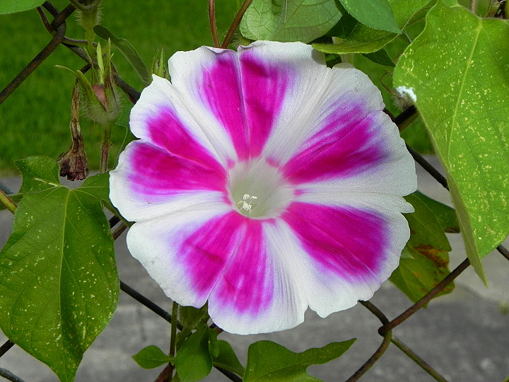 16-DSCN9622