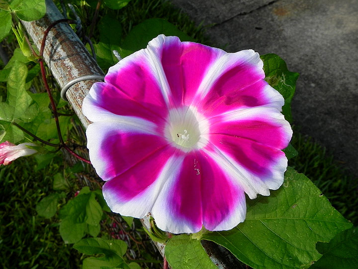 16-DSCN9822