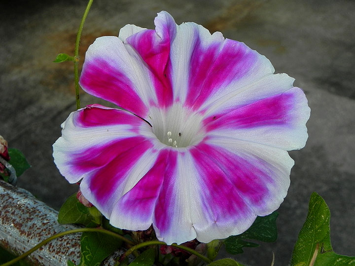 16-DSCN9868