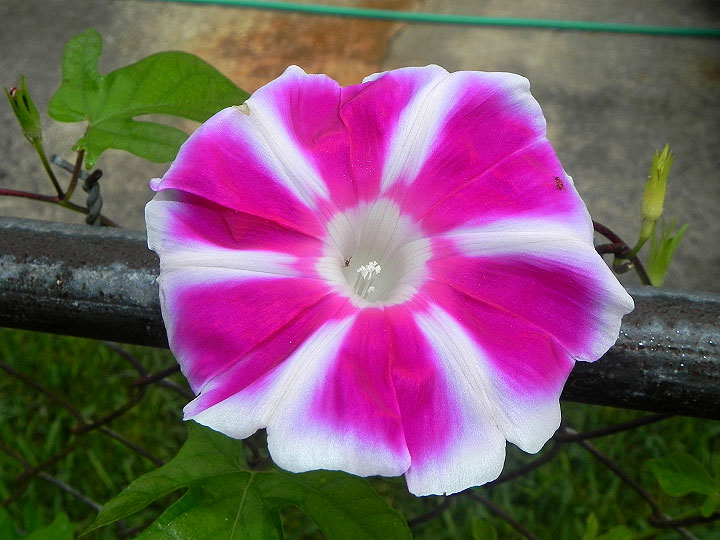 16-DSCN9945