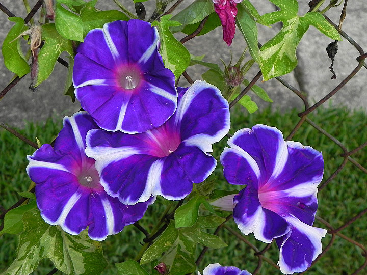 17-DSCN0659