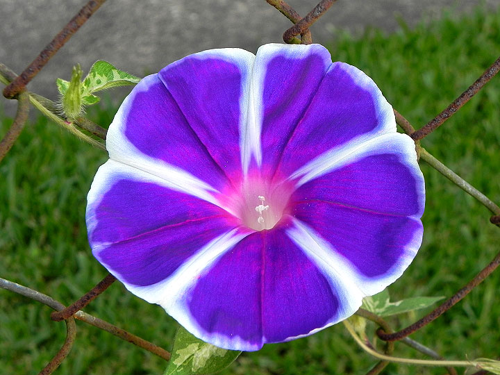 17-DSCN1138