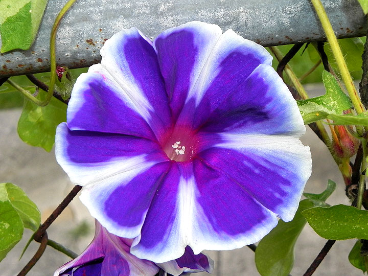 17-DSCN1139