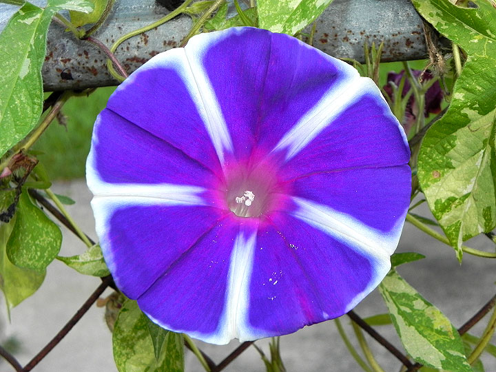 17-DSCN1359