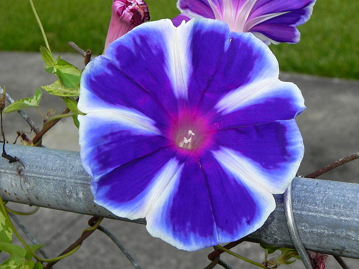 17-DSCN2028
