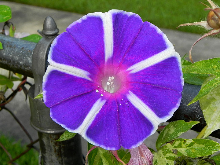 17-DSCN3535