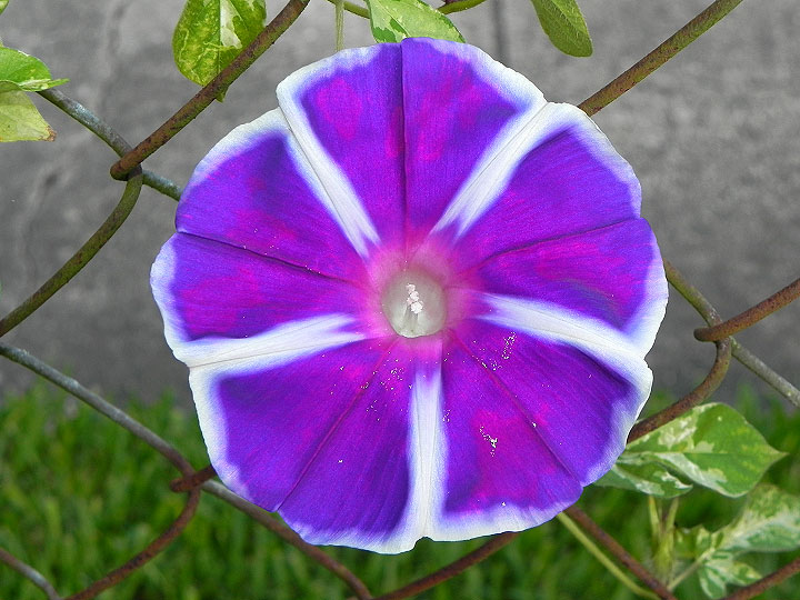 17-DSCN4158