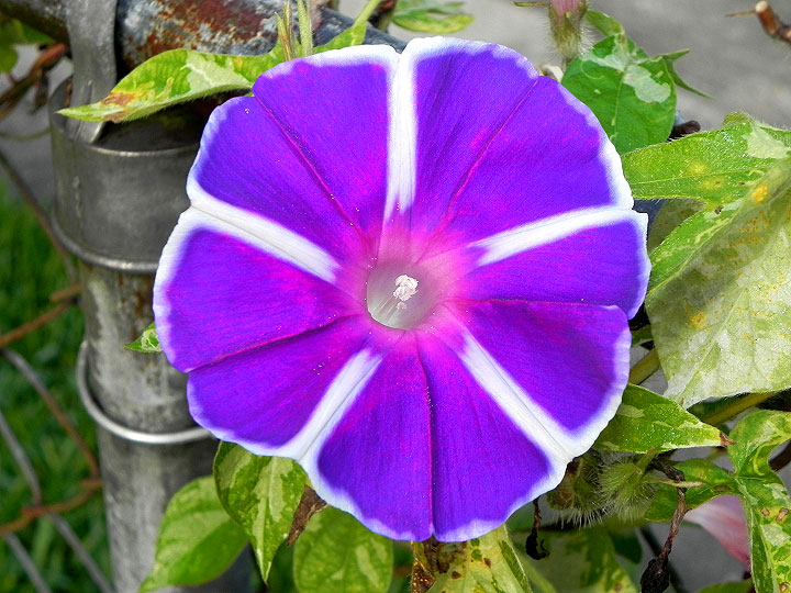 17-DSCN5088_01