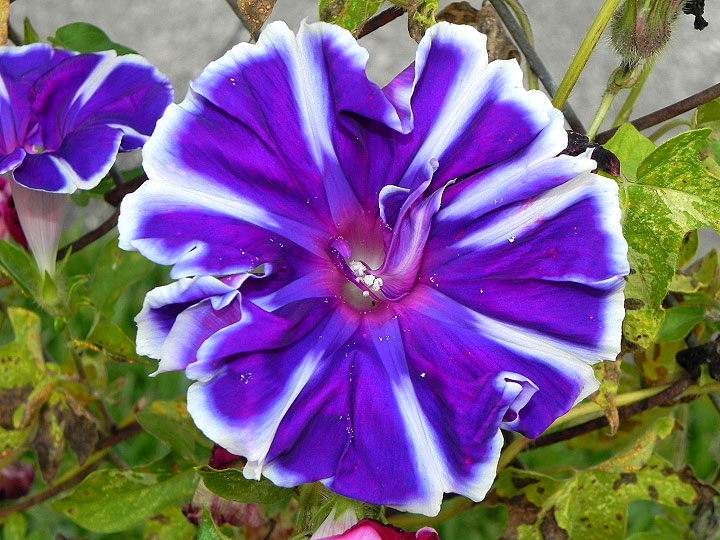 17-DSCN5390