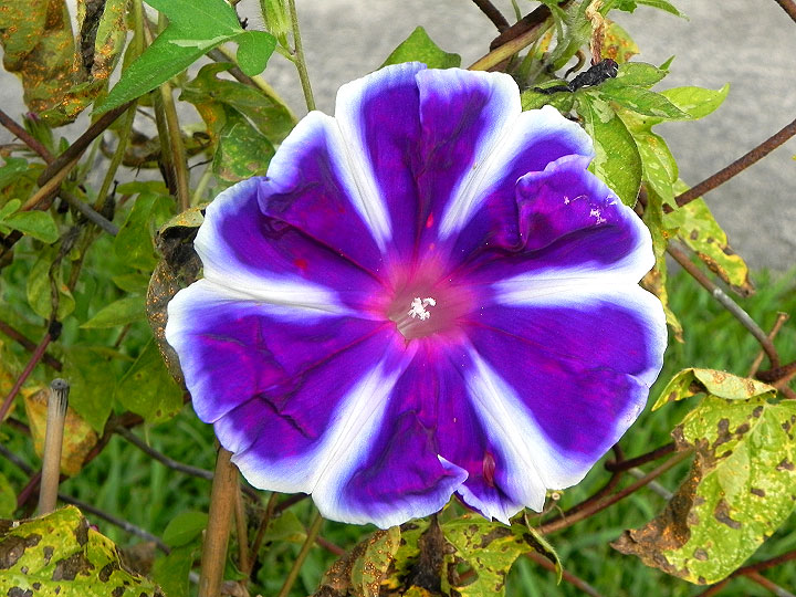 17-DSCN5835