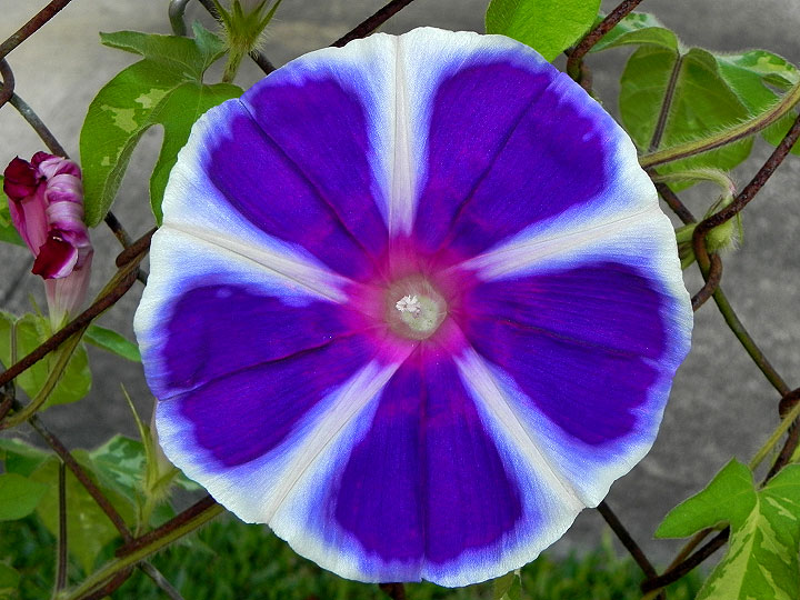 17-DSCN6324